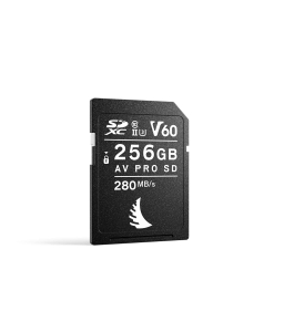 AngelBird UHS II 256 GB SDXC V60 Memory Card for Recording Full HD, 4K+ and RAW Video/Photo *New