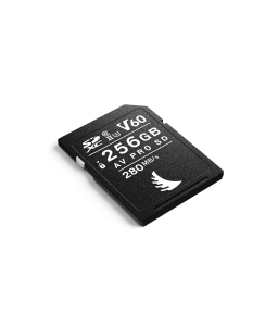 AngelBird UHS II 256 GB SDXC V60 Memory Card for Recording Full HD, 4K+ and RAW Video/Photo *New
