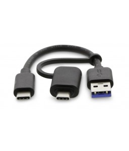 LMP 2-in-1 USB-C (m) to...