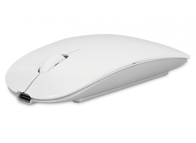 LMP Master Mouse Wireless (Bluetooth) optical 2-button mouse with scroll wheel - silver
