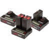 Hedbox Digital Dual LCD DV Battery Charger 