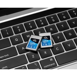 OWC 240GB Atlas Pro CFexpress Type A Cards - VPG 200