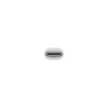 Apple Thunderbolt 3 (USB-C) - Thunderbolt 2 Adapter