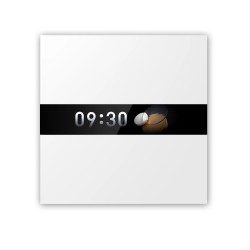 Aqara Display Switch V1 EU