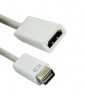 LMP Mini-Dvi to HDMI adapter, Mini-Dvi to HDMI monitor, A/V receiver and HDTV