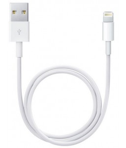 Apple Lightning to USB...
