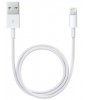Apple Lightning to USB Cable (0,5m)