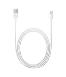 Apple Lightning to USB...