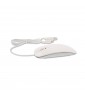 LMP Easy Mouse USB-C with 2-Buttons & Scroll Wheel
